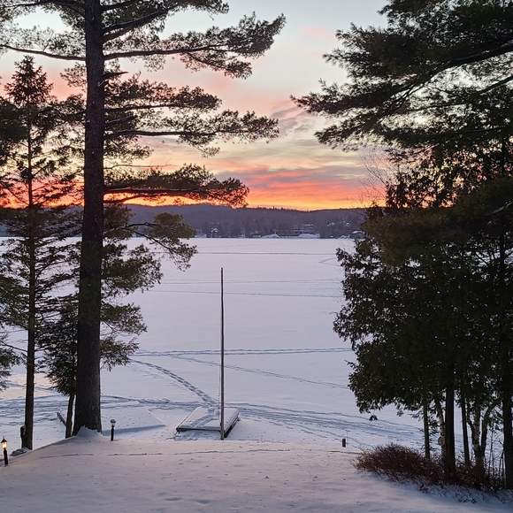 Meet your Posher, Vanessa - Picture 1 of 1